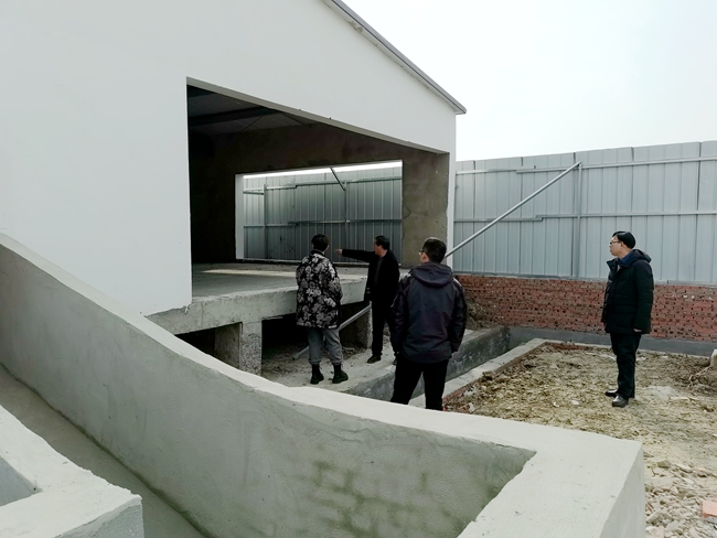 调研养猪场_650.jpg